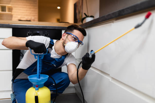Best Cockroach Control Services  in Purcell, OK