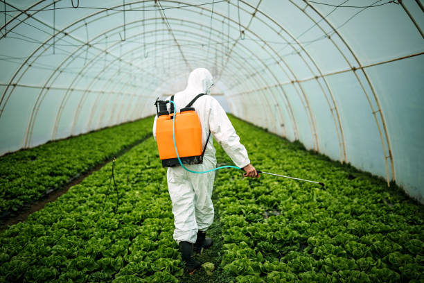 Best Affordable Pest Control Services  in Purcell, OK