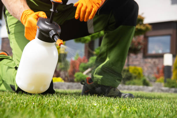 Best Pest Control Near Me  in Purcell, OK