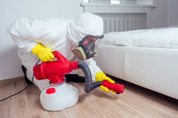 Best Wasp Removal Services  in Purcell, OK
