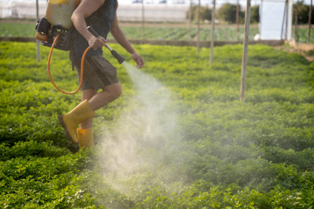 Best Pest Prevention Services  in Purcell, OK