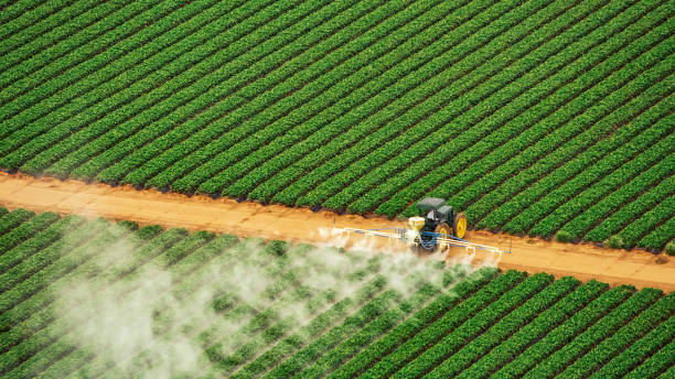 Best Best Pest Control Companies  in Purcell, OK
