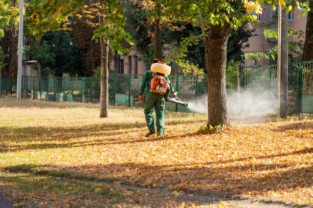 Best Local Pest Control Services  in Purcell, OK