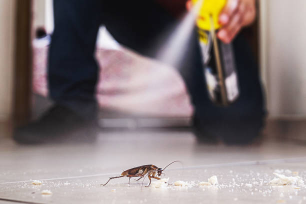 Best Rat Extermination Near Me  in Purcell, OK