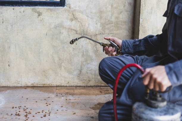 Trusted Purcell, OK Pest Control Experts