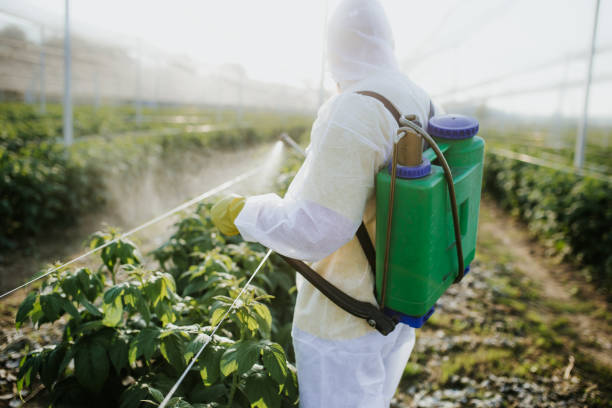  Purcell, OK Pest Control Pros